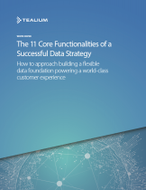 The 11 Core Functionalities of a Successful Data Strategy
