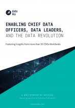 Enabling CDOs and the Data Revolution