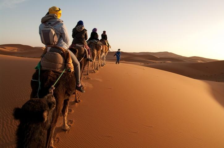 camel caravan desert1.jpg
