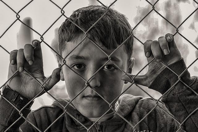 child fence captive.jpg