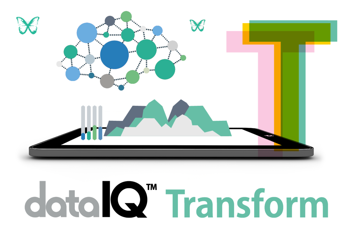 DataIQ Transform
