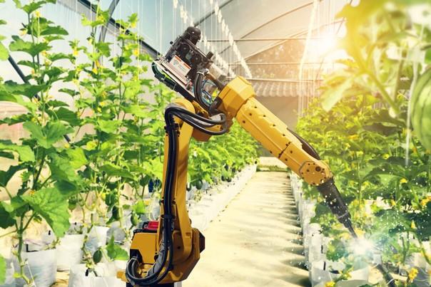 Robot agriculture plants.jpg