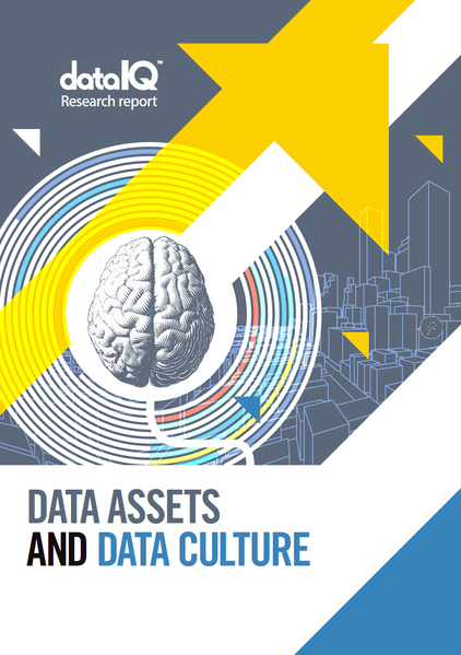 Data Assets and Data Culture Report Cover.png
